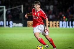 爱游戏娱乐平台 -欧联倒计时，本菲卡冲刺阶段伤情更新，细节引发关注，话题不断，年轻球员得到机会的简单介绍